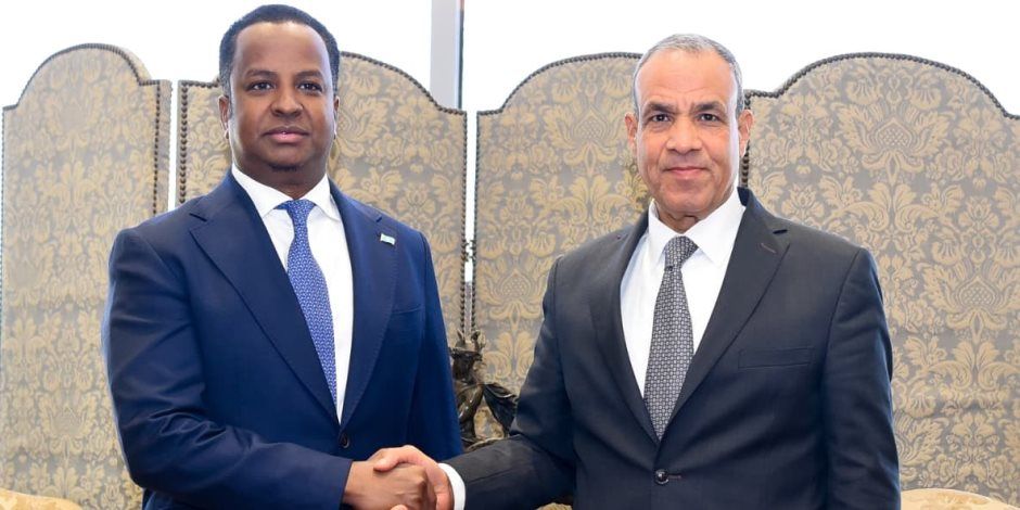 مشاورات مصرية - صومالية لدعم الشراكة الاستراتجية بين البلدين