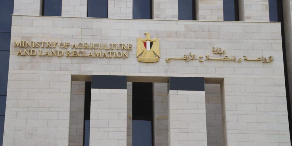 3 وزراء ومحافظ القاهرة يفتتحون معرض السلع الغذائية بباب الشعرية غدا