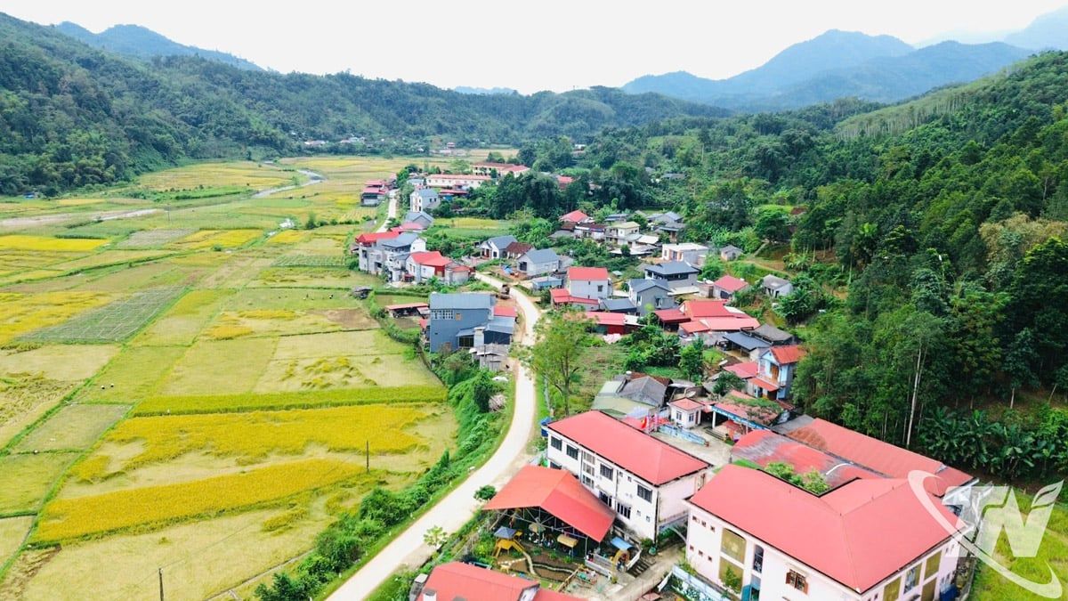 لماذا تزيد الترددات؟ السر وراء تحسين الشبكة في...