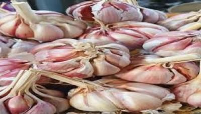 5 أطعمة تتفوّق على الثوم في تعزيز المناعة