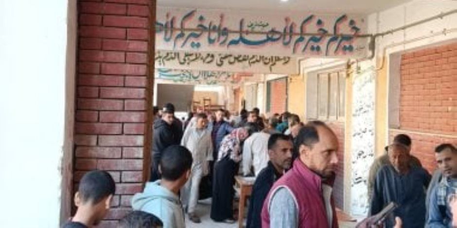 الهيئة الوطنية للانتخابات تستأنف على حكم بطلان انتخابات دائرة منيا القمح