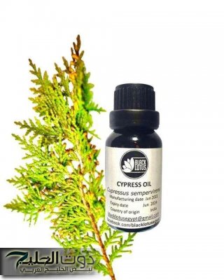 معجزة نزلت من السماء .. عشبة ربانية تسكن جميع آلام الجسم وتمنح الشعور بالهدوء والإسترخاء وتعتبر الحل الأمثل لعلاج الكبد .. احرصوا عليها