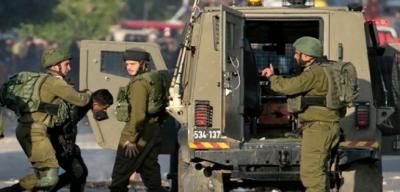 الاحتلال يعتقل 81 فلسطينياً من الضفة