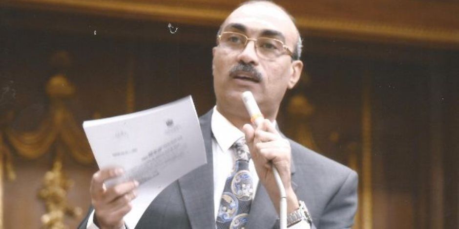 برلمانية المصرى الديمقراطى: كل وزير يجب أن يكون على وعي بمسؤوليات منصبه وقادرًا على اتخاذ قرارات مدروسة