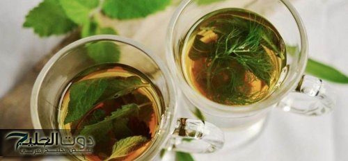 "مش هتستغنى عنها في الشتا".. أعشاب طبيعية تقوي مناعتك وتحميك من نزلات البرد