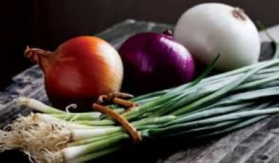 أخبار اليمن : تأثير تناول البصل على صحة القلب