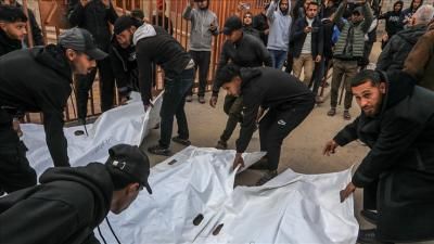 أخبار اليمن : ارتفاع حصيلة شهداء غزة إلى 72049