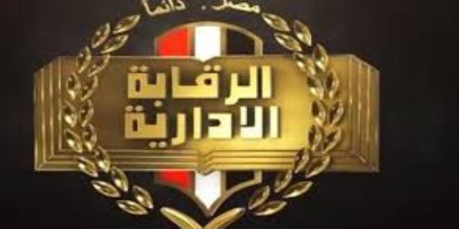 حبس وغرامة لتشكيل إجرامي عابر للحدود سعي للاستيلاء على أموال شركة مصرية
