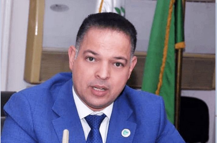 محمد كفافي: الربط بالشبكات والتراخيص والتمويلات الميسرة.. عناصر حاسمة لإنجاح هدف مزيج الطاقة