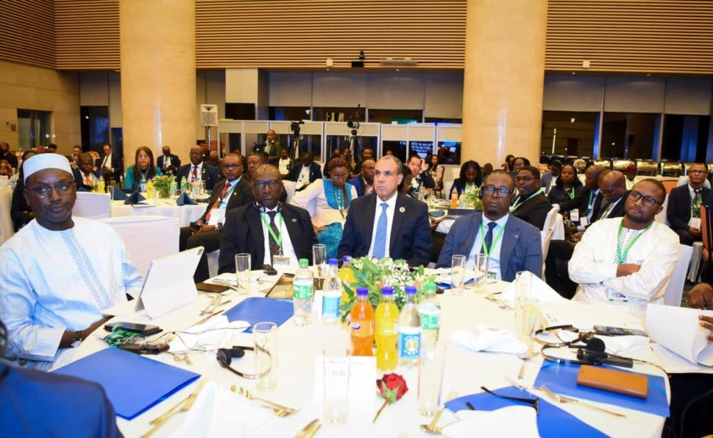 وزير الخارجية: “رؤية وسياسة إفريقيا للمياه 2063” تعزز الإدارة المستدامة للموارد في القارة