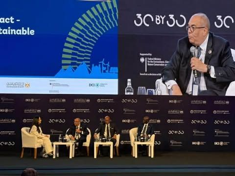 د.محمود محيي الدين: التكيف ليس عملًا خيريًا.. وتكلفة التقاعس لا يمكن تعويضها