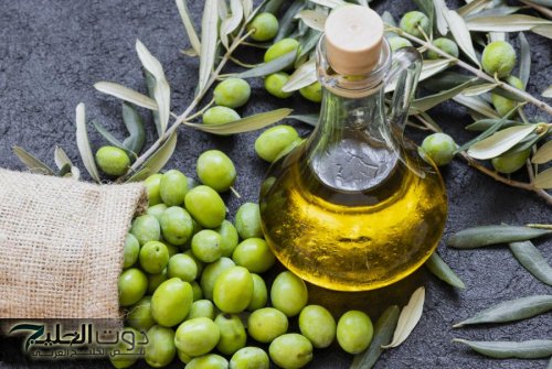 انخفاض كمية إنتاج زيت الزيتون للموسم الحالي