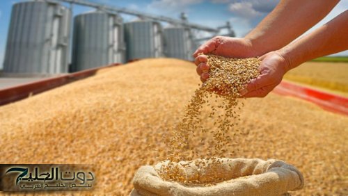 طرح عطاء لشراء كميات من الشعير
