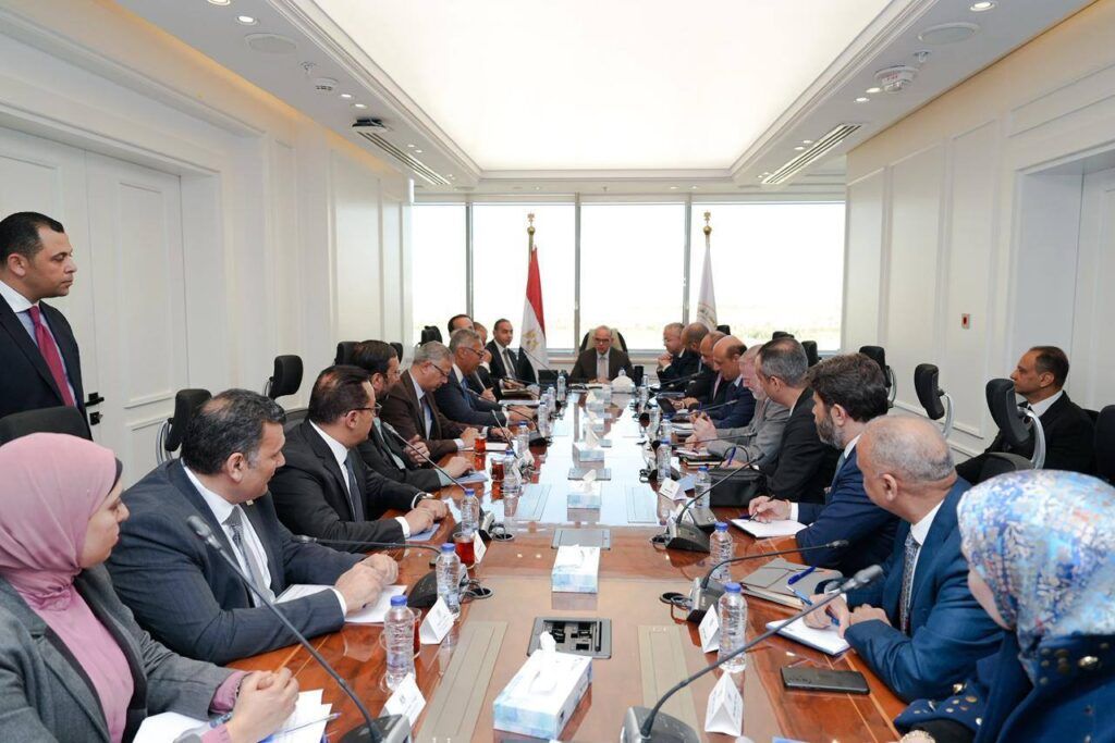 د. محمد فريد: تفعيل الربط الإلكتروني بين 5 جهات لتيسير وتسريع خدمات المستثمرين