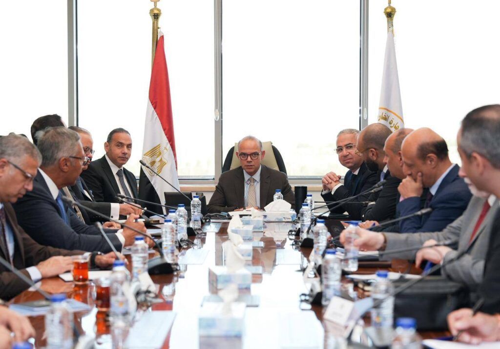 د. محمد فريد: تفعيل الربط الإلكتروني بين 5 جهات لتيسير وتسريع خدمات المستثمرين