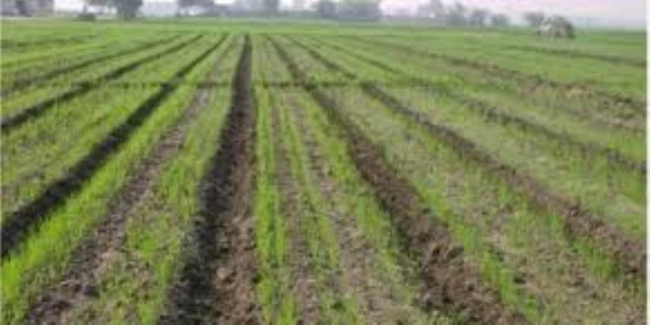 مركز المناخ يحذر: طقس شتوي عنيف يهدد المحاصيل وتوصيات عاجلة للمزارعين