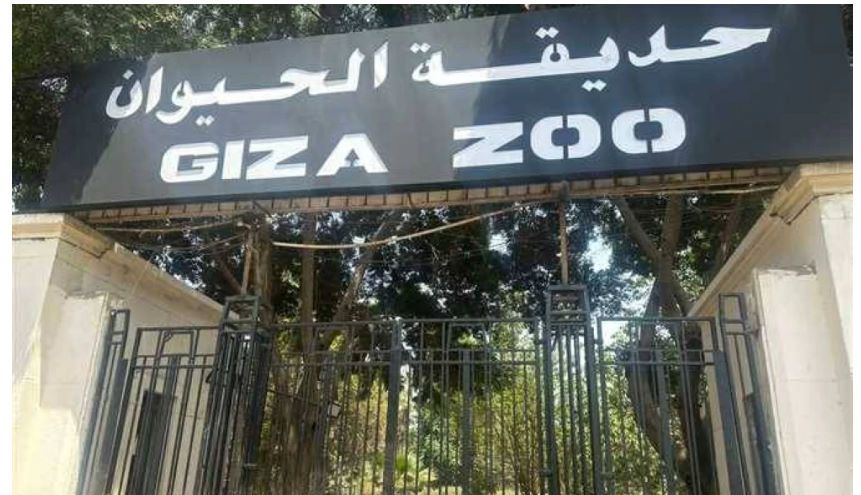 افتتاح حديقة الحيوان بالجيزة 2026.. هل تعمل في...