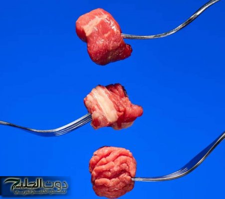 ماذا يحدث لجسمك عند تناول اللحوم فقط؟.. اكتشف الحقائق والنتائج الصادمة