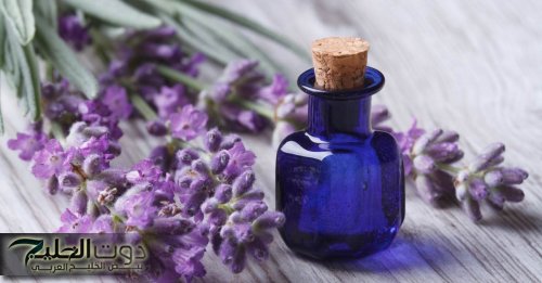 زيت اللافندر .. منظف طبيعي متعدد الاستخدامات