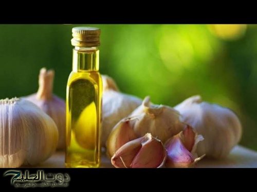ماذا يحدث لجسمك عند تناول الثوم وزيت الزيتون؟.. نتائج صحية مذهلة!