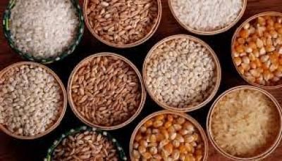 6 أنواع من الحبوب لتعزيز صحة الأمعاء