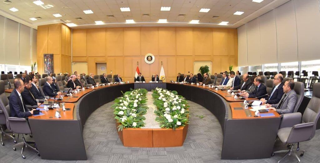 الحكومة تناقش آليات تعزيز دور المؤسسات الاستثمارية والتمويلية لتنمية الصناعات الدوائية