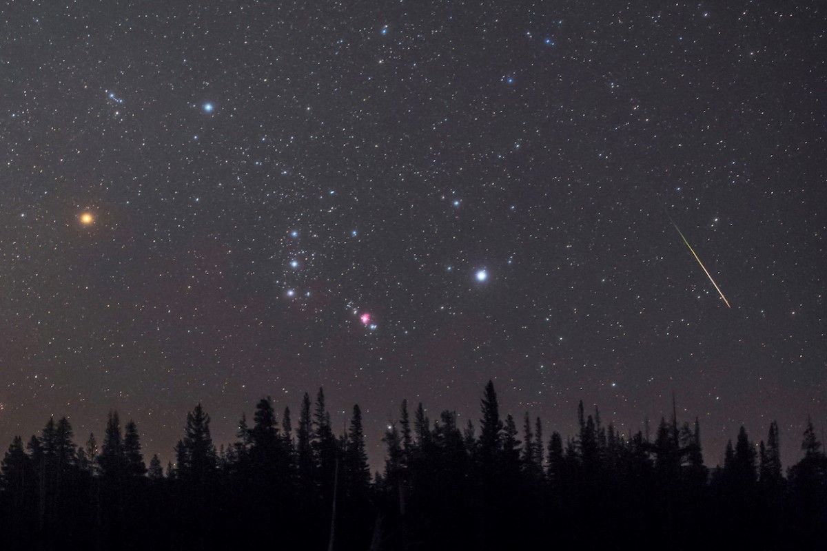 يوم استثنائي لمواليد برج الجوزاء.. نجمك يسطع في...