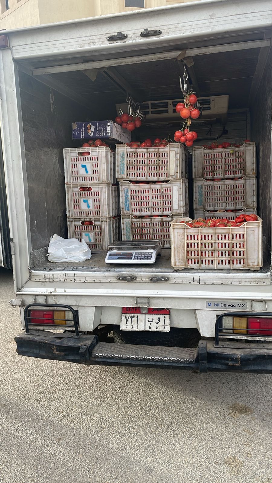 21.5 جنيه للكيلو.. القابضة للصناعات الغذائية تدفع  بسيارات متنقلة لطرح الطماطم بأسعار مخفضة