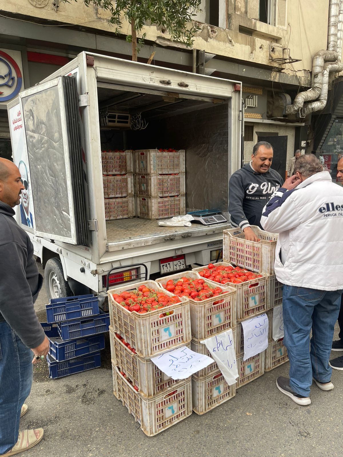 21.5 جنيه للكيلو.. القابضة للصناعات الغذائية تدفع  بسيارات متنقلة لطرح الطماطم بأسعار مخفضة