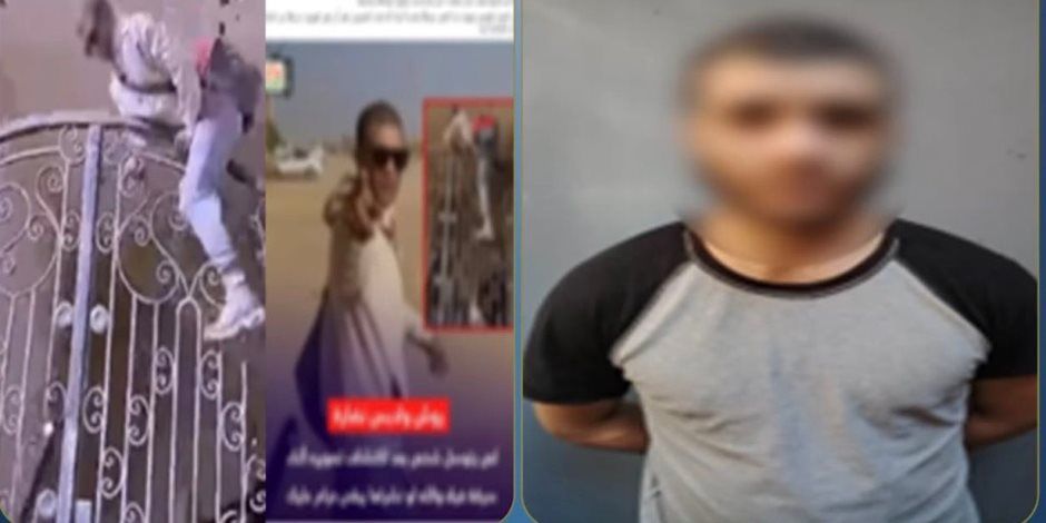 الداخلية: فيديو قفز لص من أعلى باب عقار تحت الإنشاء قديم والمتهم محبوس من نوفمبر الماضي