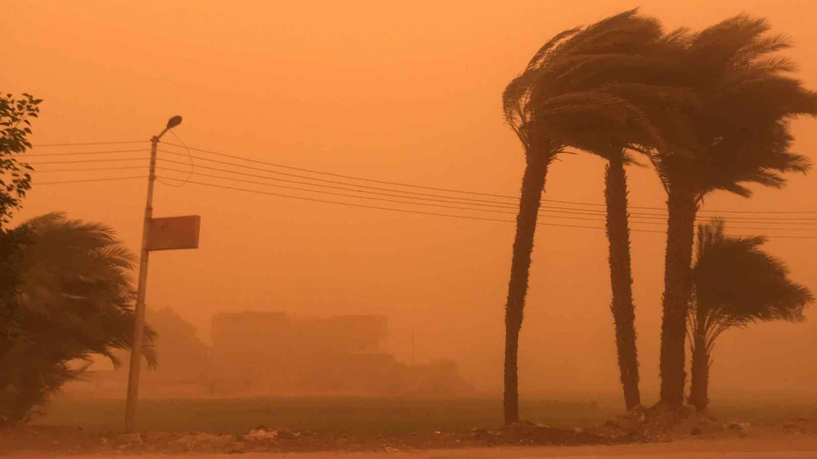 تطورات الآن.. قرارات الجامعات الحكومية والأهلية بشأن إيقاف...