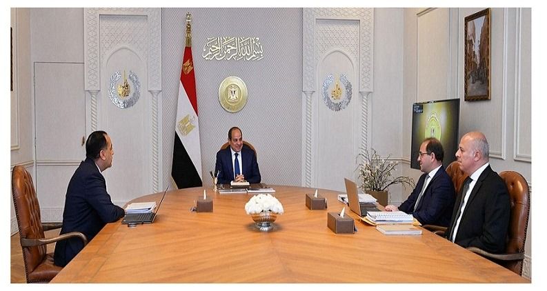 وزير المالية يعرض مقترحات زيادة الأجور وخفض فاتورة الدين على الرئيس السيسي