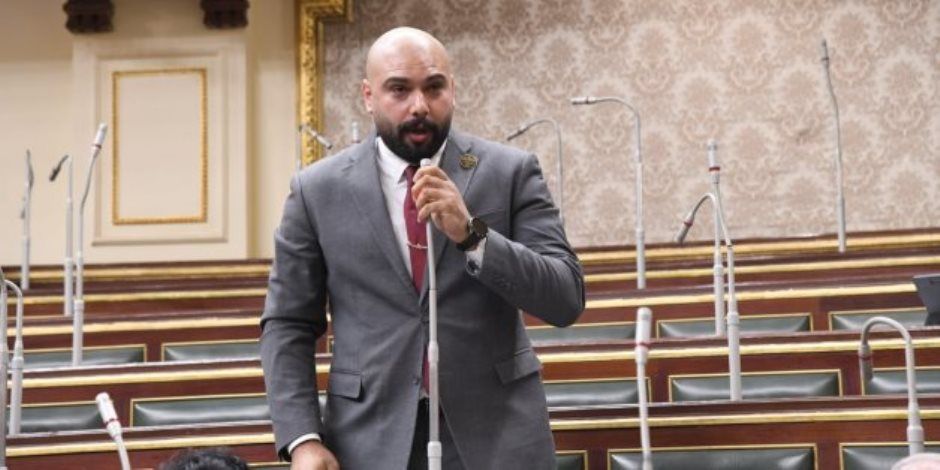 برلماني: القاهرة تتحرك وفق رؤية واضحة تهدف إلى منع تصاعد الصراعات والحفاظ على استقرار الدول العربية