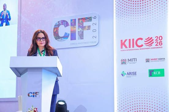 طرح 180 فرصة استثمارية عبر منصة الكوميسا الرقمية تغطي 7 قطاعات استراتيجية بدول التجمع