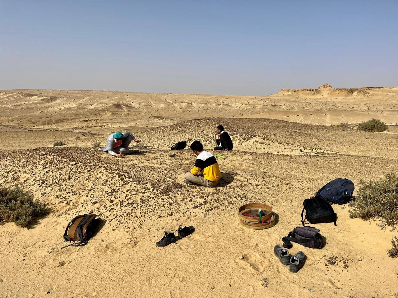 657599489_1480798683402961_3841182048016338271_n 657599489_1480798683402961_3841182048016338271_n