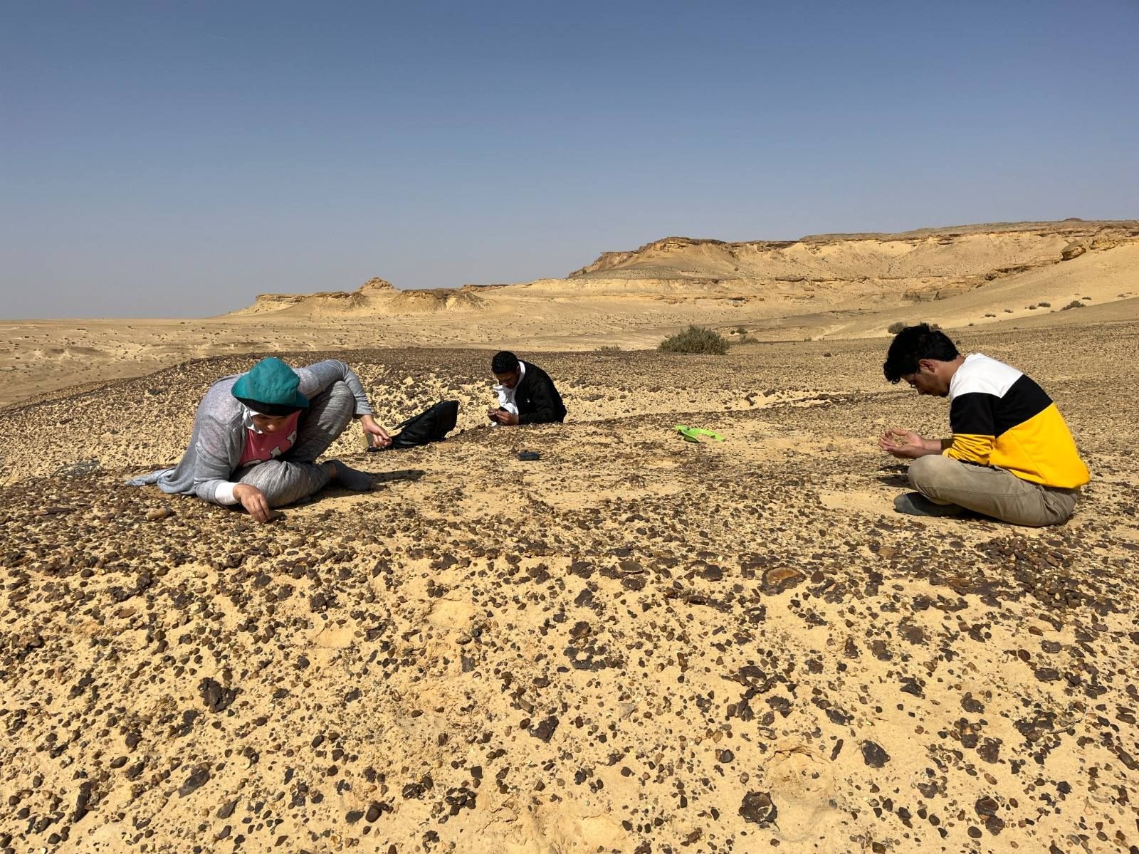 658140026_1480798566736306_2488176354888229392_n 658140026_1480798566736306_2488176354888229392_n