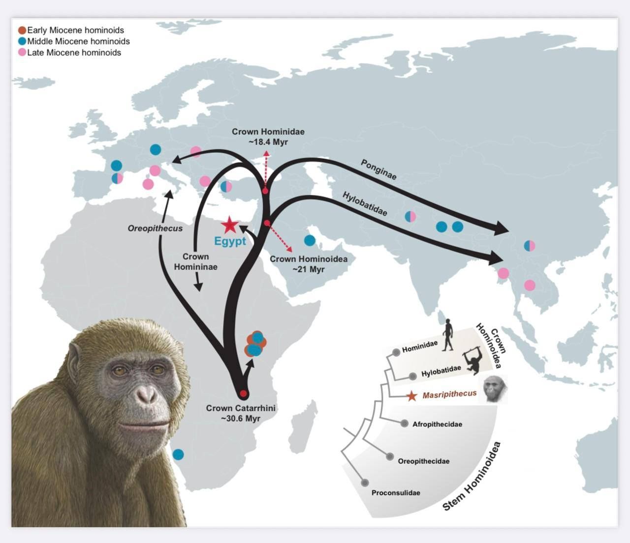 656311747_1480798913402938_1255954351068568254_n 656311747_1480798913402938_1255954351068568254_n