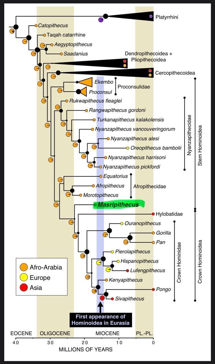 656845514_1480798883402941_1786095779787874106_n 656845514_1480798883402941_1786095779787874106_n