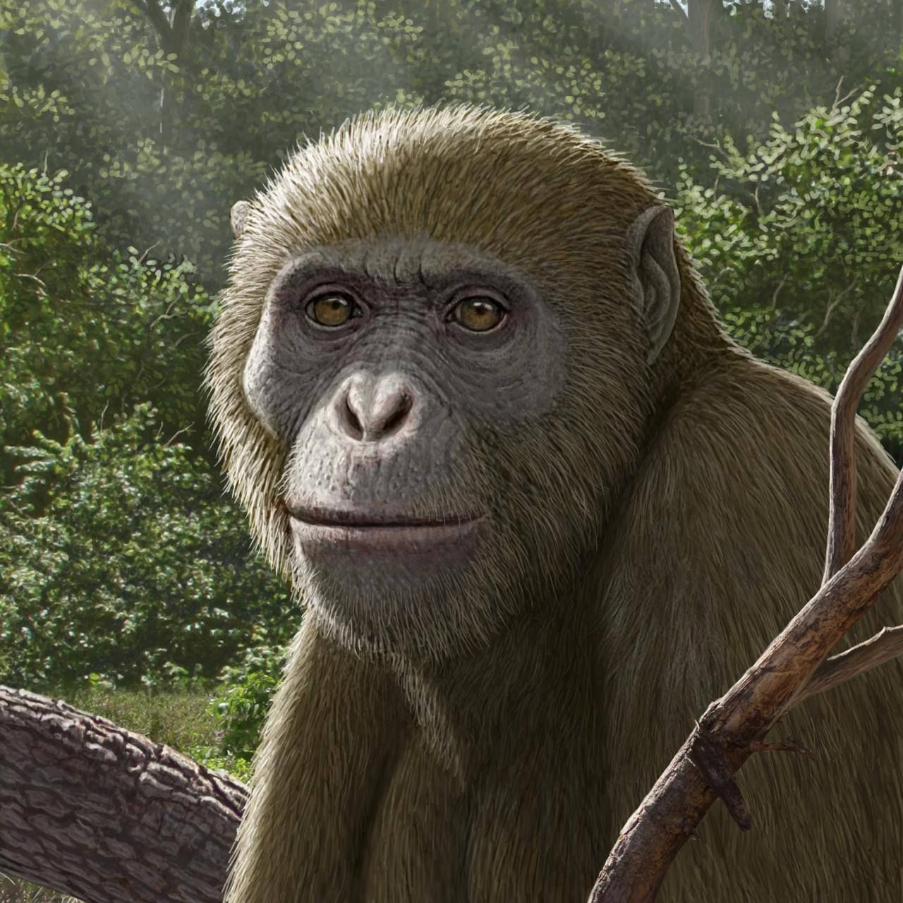 657166192_1480798250069671_1395408270086959026_n 657166192_1480798250069671_1395408270086959026_n