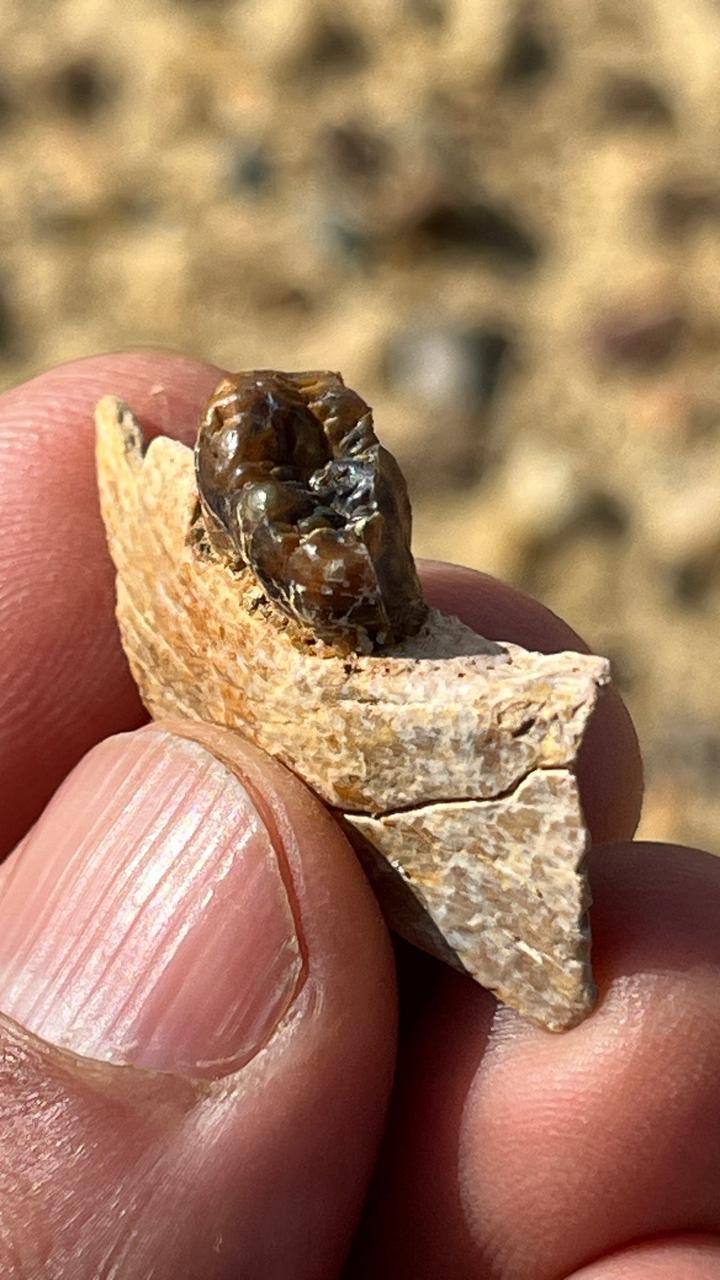 656845509_1480798753402954_4899317147627675813_n 656845509_1480798753402954_4899317147627675813_n