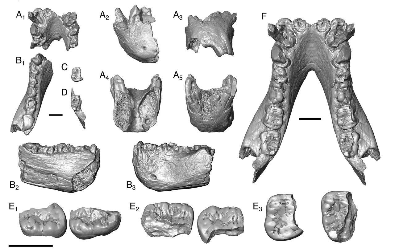 658156262_1480798853402944_9108591381767061896_n 658156262_1480798853402944_9108591381767061896_n