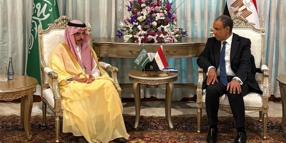على هامش الاجتماع الوزارى الرباعي في باكستان.. وزير الخارجية يبحث مع نظيره السعودي جهود التهدئة الإقليمية وتغليب المسار الدبلوماسي
