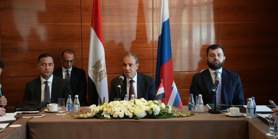 وزير الخارجية: 3 مشروعات روسية كبرى في مصر تسير بشكل جيد الآن