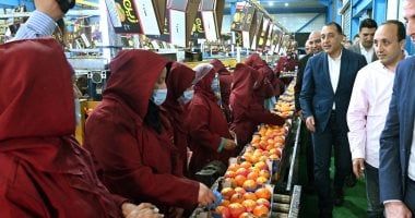 رئيس الوزراء يتفقد محطة الصواف لتعبئة الموالح والحاصلات الزراعية