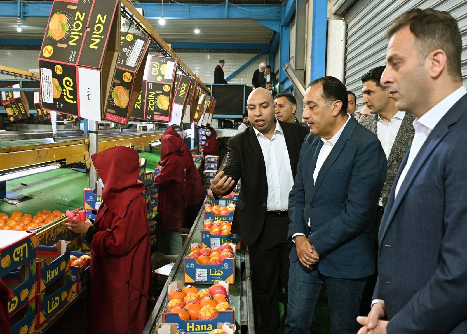 تصدر بقيمة 20 مليون دولار سنويا.. رئيس الوزراء يتفقد محطة الصواف لتعبئة الموالح ببنها