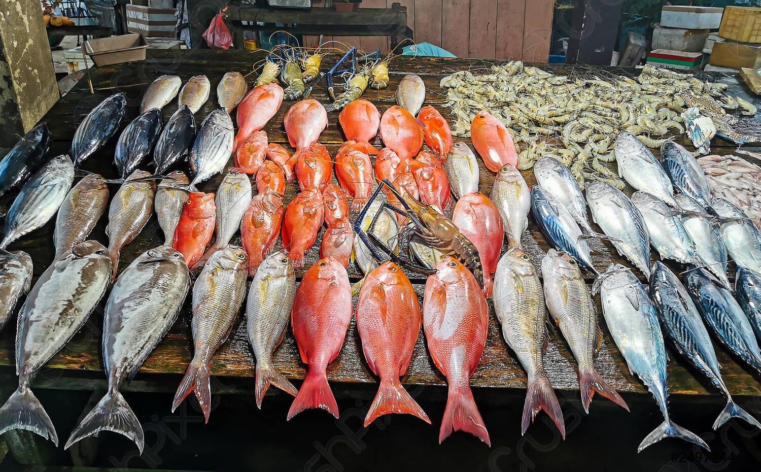 كيلو البوري يقترب من الـ 200 جنيه.. أسعار...