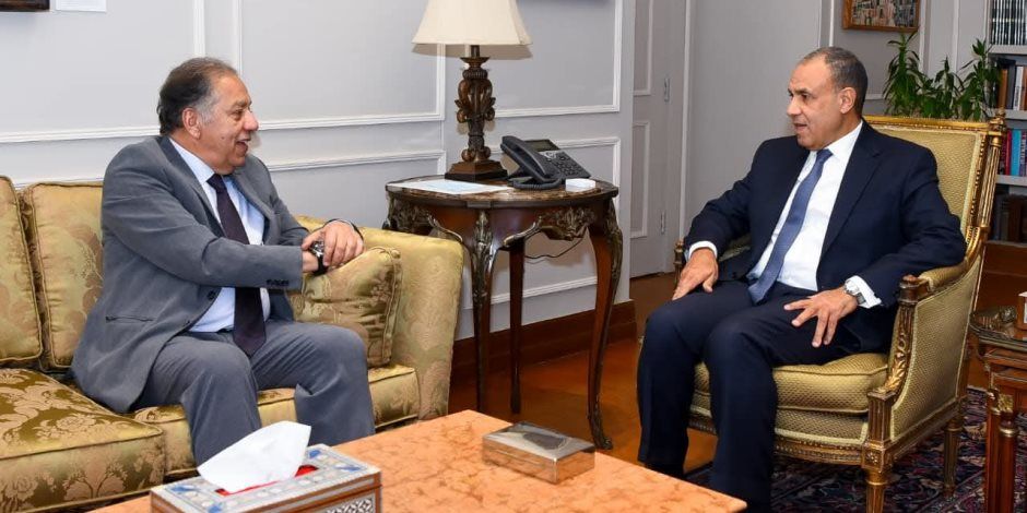 وزير الخارجية يستقبل رئيس لجنة الشئون الأفريقية بمجلس النواب