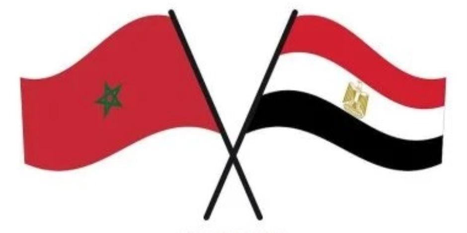 مصر تجدد التأكيد على موقفها الثابت تجاه قضية الصحراء