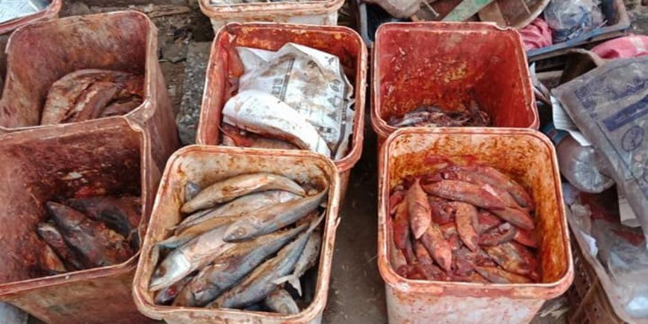 ضبط (8) أطنان "رنجة" منتهية الصلاحية داخل مصنع غير مرخص بالدقهلية