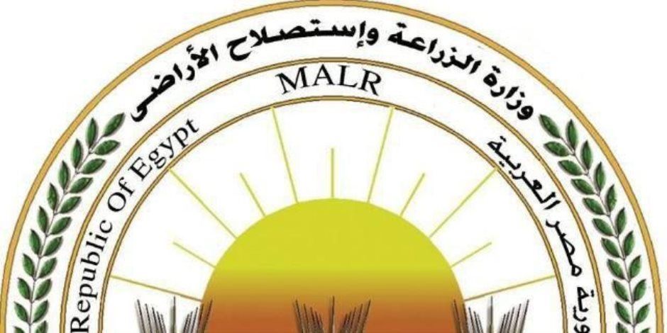 "الزراعة": تحصين 2.1 مليون رأس ماشية ضمن الحملة القومية ضد الجلد العقدي وجدري الأغنام